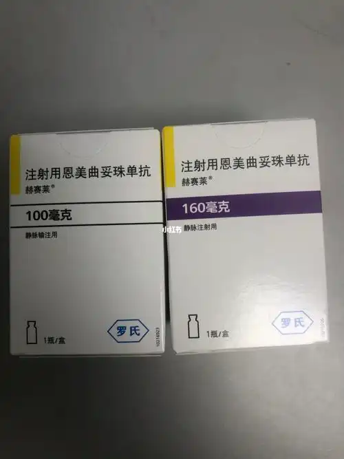 恩美曲妥珠单抗（赫赛莱）